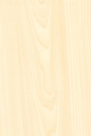fasad-v-plyonke-pvh-Coastal Birch