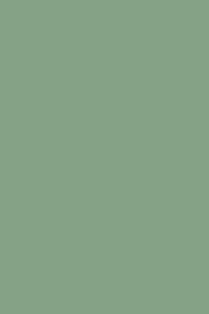 fasad-v-plyonke-pvh-Fern