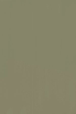 fasad-v-plyonke-pvh-Lichen Green Premier Matt