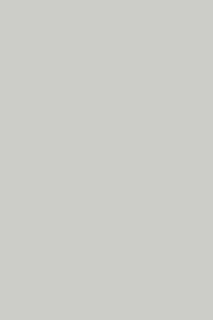 fasad-v-plyonke-pvh-Light Grey Premier Matt (Moscow)