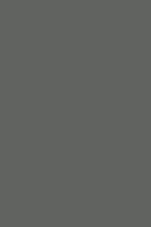 fasad-v-plyonke-pvh-Onyx Grey Premiere Matt