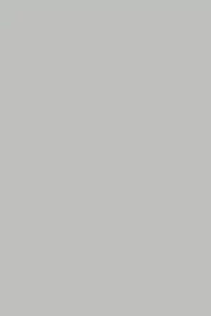 fasad-v-plyonke-pvh-Pearl Grey Supermatt