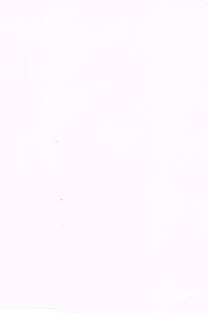 fasad-v-plyonke-pvh-SM Cool White
